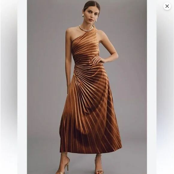 Delfi One Shoulder Velvet Pleated Brown A-Line Lea Dress - Picture 1 of 9